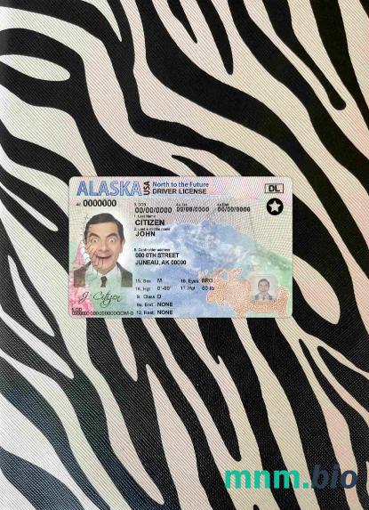 USA Alaska prawo jazdy photolook, wygląd skanu i fotorealistyczny, 2 w 1